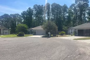 488 Heron Nest Point, Orange Park, FL 32073 - Photo 4
