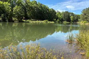 5645 Hwy 42 S, Forsyth, GA 31029 - Photo 22