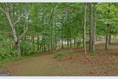 157 Nelle Drive, Hartwell, GA 30643 - Photo 52