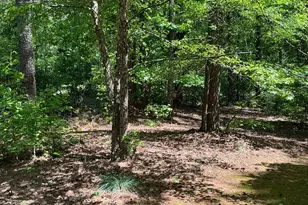 11974 Olmstead Dr, Fayetteville, GA 30215 - Photo 80