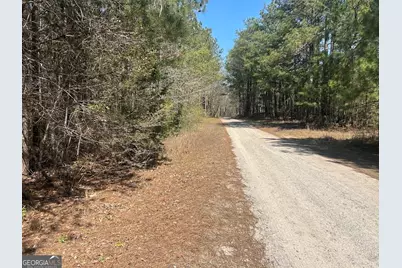1A Clower Drive, Bowdon, GA 30108 - Photo 10
