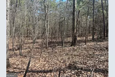 1A Clower Drive, Bowdon, GA 30108 - Photo 6