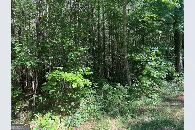 1A Clower Drive, Bowdon, GA 30108 - Photo 12