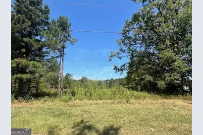 0 County Farm Road, Zebulon, GA 30295 - Photo 2