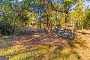 4638 Hwy 63, Carnesville, GA 30521 - Photo 10