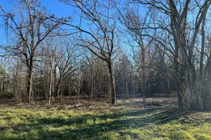 4638 Hwy 63, Carnesville, GA 30521 - Photo 42
