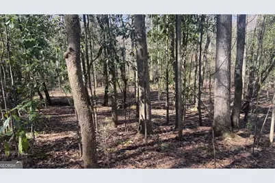 0 Roosevelt Highway, Warm Springs, GA 31830 - Photo 6