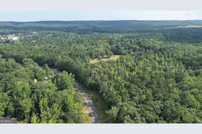 0 Roosevelt Highway, Warm Springs, GA 31830 - Photo 18