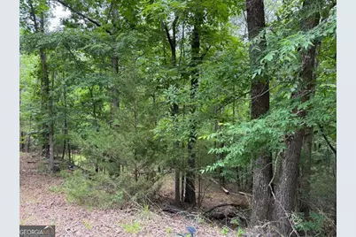 0 Bramlett Cir, Elberton, GA 30635 - Photo 4