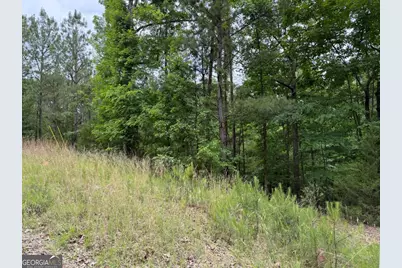 0 Bramlett Cir, Elberton, GA 30635 - Photo 6