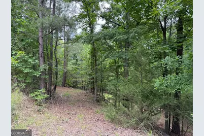Lot 52 Bramlett Cr, Elberton, GA 30635 - Photo 1