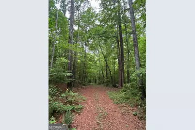 000 Sparta Rd, Crawfordville, GA 30631 - Photo 4