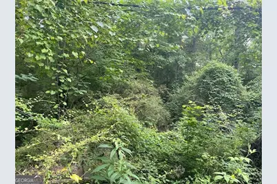 0 Standing Rock Road, Senoia, GA 30276 - Photo 10