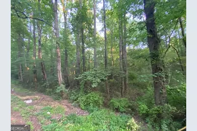 0 Standing Rock Road, Senoia, GA 30276 - Photo 8