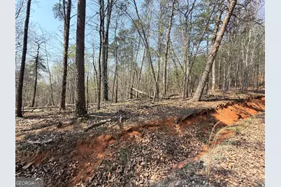 Tract A Baldwin Heights Road, Baldwin, GA 30511 - Photo 1