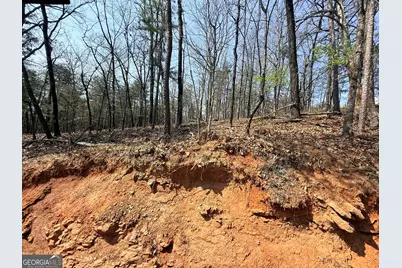 Lot 202 Baldwin Heights Road, Baldwin, GA 30511 - Photo 4