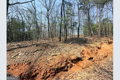 Lot 202 Baldwin Heights Road, Baldwin, GA 30511 - Photo 2