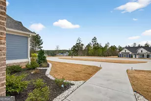 61 Forest Berry Ct, Newnan, GA 30265 - Photo 54