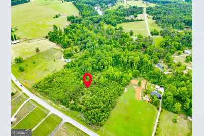 1395 Rover Zetella Road, Williamson, GA 30292 - Photo 2