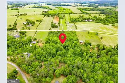 1395 Rover Zetella Road, Williamson, GA 30292 - Photo 4