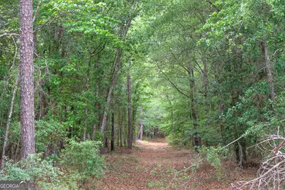 0 Chance Road, Girard, GA 30426 - Photo 8