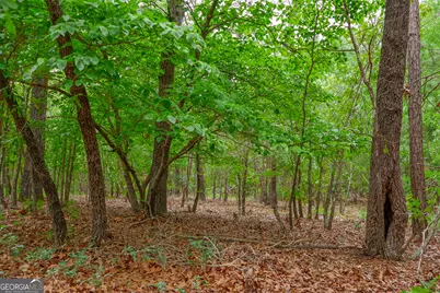 0 Chance Road, Girard, GA 30426 - Photo 6