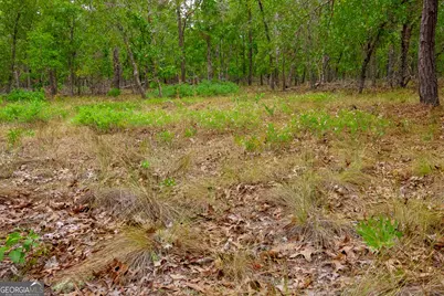 0 Chance Road, Girard, GA 30426 - Photo 18