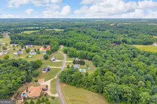 331 Highland Ridge Dr, Hartwell, GA 30643 - Photo 34