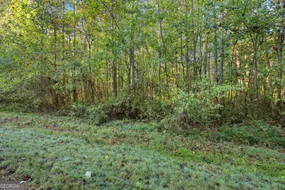 0 Caney Branch, Lavonia, GA 30553 - Photo 22