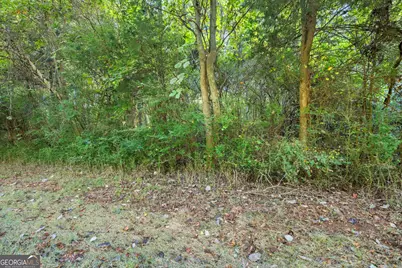 0 Caney Branch, Lavonia, GA 30553 - Photo 20