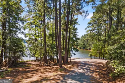 1003 Mohawk Drive, Lincolnton, GA 30817 - Photo 62
