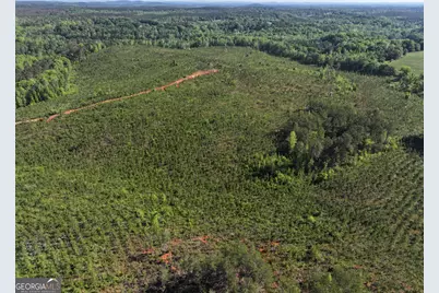 118 +/- Acres On Lumpkin Road, Cedartown, GA 30125 - Photo 6