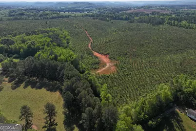 118 +/- Acres On Lumpkin Road, Cedartown, GA 30125 - Photo 1