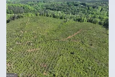 118 +/- Acres On Lumpkin Road, Cedartown, GA 30125 - Photo 16