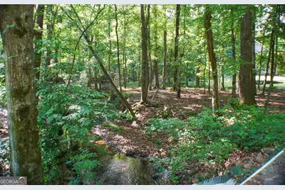 335 Winding Stream Trail, Hampton, GA 30228 - Photo 32