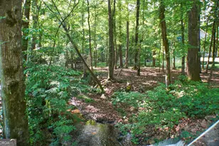335 Winding Stream Trail, Hampton, GA 30228 - Photo 32