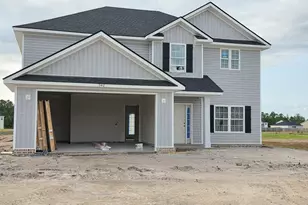 342 NE Freshwater Ln, Ludowici, GA 31316 - Photo 2