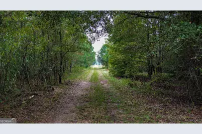 0 Willow Creek Drive, Oglethorpe, GA 31068 - Photo 4