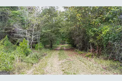 0 Willow Creek Drive, Oglethorpe, GA 31068 - Photo 2