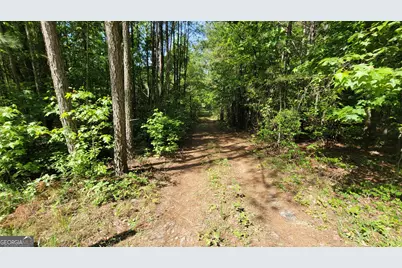 8235 West Carroll Road, Whitesburg, GA 30185 - Photo 4