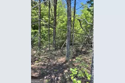 7.66 Acs Keener Road, Toccoa, GA 30577 - Photo 8