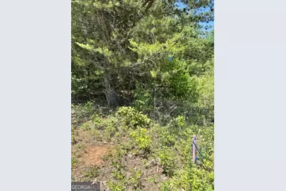 7.66 Acs Keener Road, Toccoa, GA 30577 - Photo 6