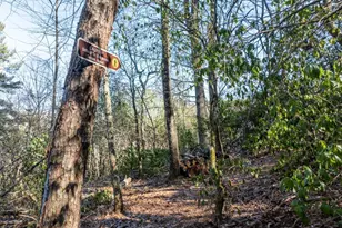 517 Ridge Rd, Blue Ridge, GA 30513 - Photo 38