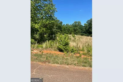 Lot 13 D Nails Creek Xing, Royston, GA 30662 - Photo 6