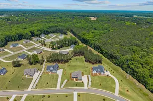 2364 Blazing Star Ct, Statham, GA 30666 - Photo 62