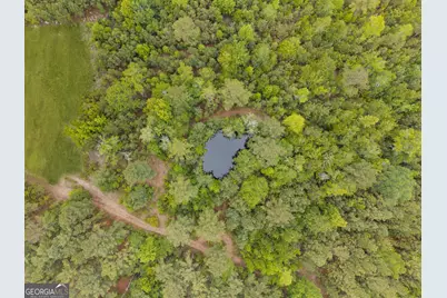 2973 Buttermilk Road, Sylvania, GA 30467 - Photo 44