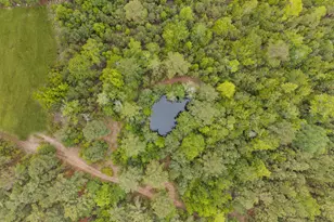 2973 Buttermilk Rd, Sylvania, GA 30467 - Photo 44