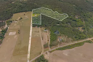 2973 Buttermilk Rd, Sylvania, GA 30467 - Photo 4