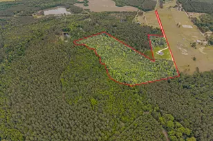 2973 Buttermilk Rd, Sylvania, GA 30467 - Photo 2