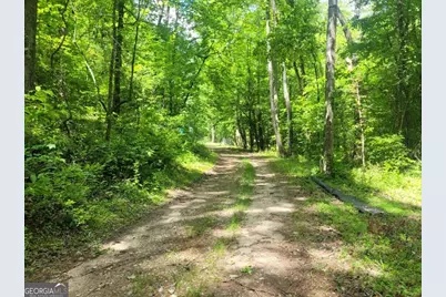 251 Bean Creek Road, Sautee, GA 30571 - Photo 4